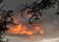 Upcoming thunderstorm over the camp Halali at the Etosha Nationalpark in northern Namibia