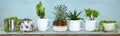 Upcycle, reuse, recycled, repurposed kitchen pots for succulents and house plants