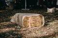 Upcycling ideas, Recycle crafts. Alternative eco-friendly benches made of straw and burlap bales at fair, market outdoor