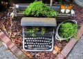 Creative writing. Upcyled typewriter planter