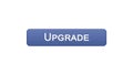 Upgrade web interface button violet color, software installation, program update