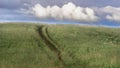 An uphill country road in tall grass in Altai Mountains, Kazakhstan, on early summer morning with dramatic cloudscape Royalty Free Stock Photo