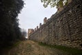 Uphill dirt path bordered by an olive tree grove and an ancient boundary wall on a cloudy day Royalty Free Stock Photo