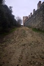 Uphill dirt path bordered by an olive tree grove and an ancient boundary wall on a cloudy day