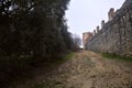 Uphill dirt path bordered by an olive tree grove and an ancient boundary wall on a cloudy day