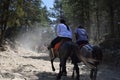 Horse Ride at Kufri