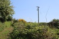 Uphill landscape towards telephone pole.