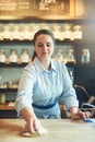 She upholds spotless standards in her cafe. a young woman cleaning a countertop in her cafe. Royalty Free Stock Photo