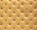 Upholster pattern Royalty Free Stock Photo