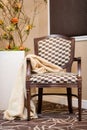 Upholstered stylish wooden chair in brown/beige