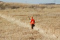 Upland Bird Hunter Royalty Free Stock Photo