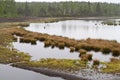 Upland moor in Southern Bavaria, Germany Royalty Free Stock Photo