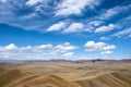 Upland pasture