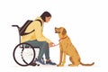 Empowering Individuals: Therapy Dog Training Program Royalty Free Stock Photo