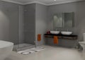 Upmarket modern bathroom grey Royalty Free Stock Photo