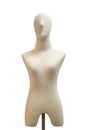 Upper body female mannequin unclothed isolated on white background with clipping path Royalty Free Stock Photo