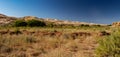 Upper Butler Wash near Comb Ridge