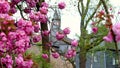 upper castle of siegen germany in spring 4k 25fps video