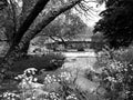 Upper Chittenango Falls Black and White