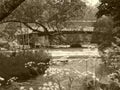 Upper Chittenango Falls with sepia filter