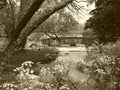 Upper Chittenango Falls with sepia filter