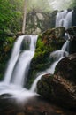 Upper Doyle's River Falls on a foggy spring day in Shenandoah Na