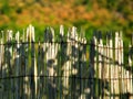 The top of bamboo reed fence