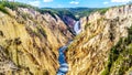 The Upper Falls and the Yellowstone River in the Grand Canyon of the Yellowstone Royalty Free Stock Photo