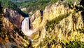 The Upper Falls and the Yellowstone River in the Grand Canyon of the Yellowstone Royalty Free Stock Photo