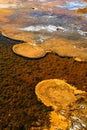 The Upper Geyser Basin in Yellowstone National Park,USA. Royalty Free Stock Photo