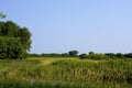 Upper Halfway Creek Marsh Project 809087