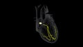 SA and AV Node Signals in the Heart