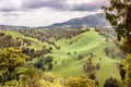 Upper Hunter Valley, NWS, Australia Royalty Free Stock Photo