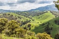 Upper Hunter Valley, NWS, Australia Royalty Free Stock Photo