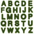 upper letters of green grass alphabet isolated on