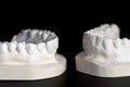 Upper and lower teeth made of plaster Royalty Free Stock Photo