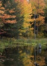 Upper Michigan Fall Colors by Quiet Stream Royalty Free Stock Photo