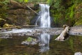 Upper North falls at Silver Falls State Park with reflection in summer Royalty Free Stock Photo