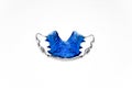 Upper part of blue dental retainers