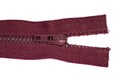 Upper part of dark burgundy metal zipper, top view