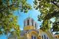 The upper part of the Saint Vladimir Cathedral in Kyiv