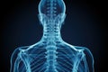 upper part of human body x-ray, high quality chest x-ray and part of spine and full AP of shoulder joint in blue tone for webpage Royalty Free Stock Photo