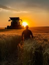 Upper part of a man silhouette standing in the ears of wheat. Farmer watches the combine work in the farmland at sunset.