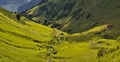 The upper part of the mulibach valley, above the Berghaus Planalp train station Royalty Free Stock Photo