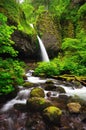 Upper ponytail falls