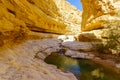 Upper pools, Arugot stream, Ein Gedi Nature Reserve Royalty Free Stock Photo