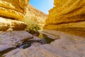 Upper pools, Arugot stream, Ein Gedi Nature Reserve Royalty Free Stock Photo