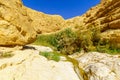 Upper pools, Arugot stream, Ein Gedi Nature Reserve Royalty Free Stock Photo