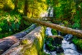 Upper Proxy Falls, Wilamette National Forest, Oregon Royalty Free Stock Photo