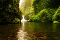 Upper Punch bowl falls Royalty Free Stock Photo
